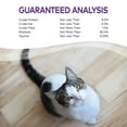 thumbnail image 6 of Wellness Complete Health Natural Grain Free Wet Canned Cat Food, Sliced Turkey & Salmon Entree, 5.5-Ounce Can (Pack of 24), 6 of 11