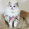 thumbnail image 4 of SPRING PARK Pet Christmas Snowflake Star Shape Collar with Bell for Cats and Small Animals, 4 of 6