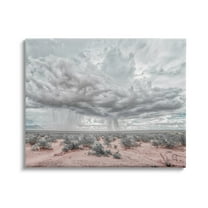 Stupell Industries Rain Cloud Desert Landscape Outdoor Brush Storm Weather, 40 x 30, Design by Nathan Larson