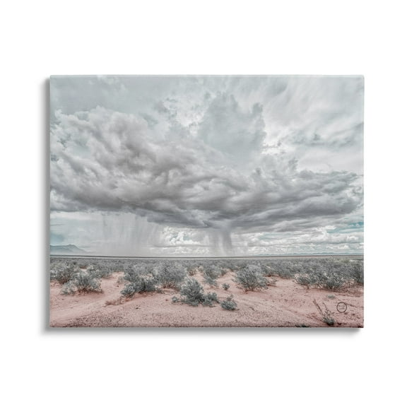 Stupell Industries Rain Cloud Desert Landscape Outdoor Brush Storm Weather, 40 x 30, Design by Nathan Larson
