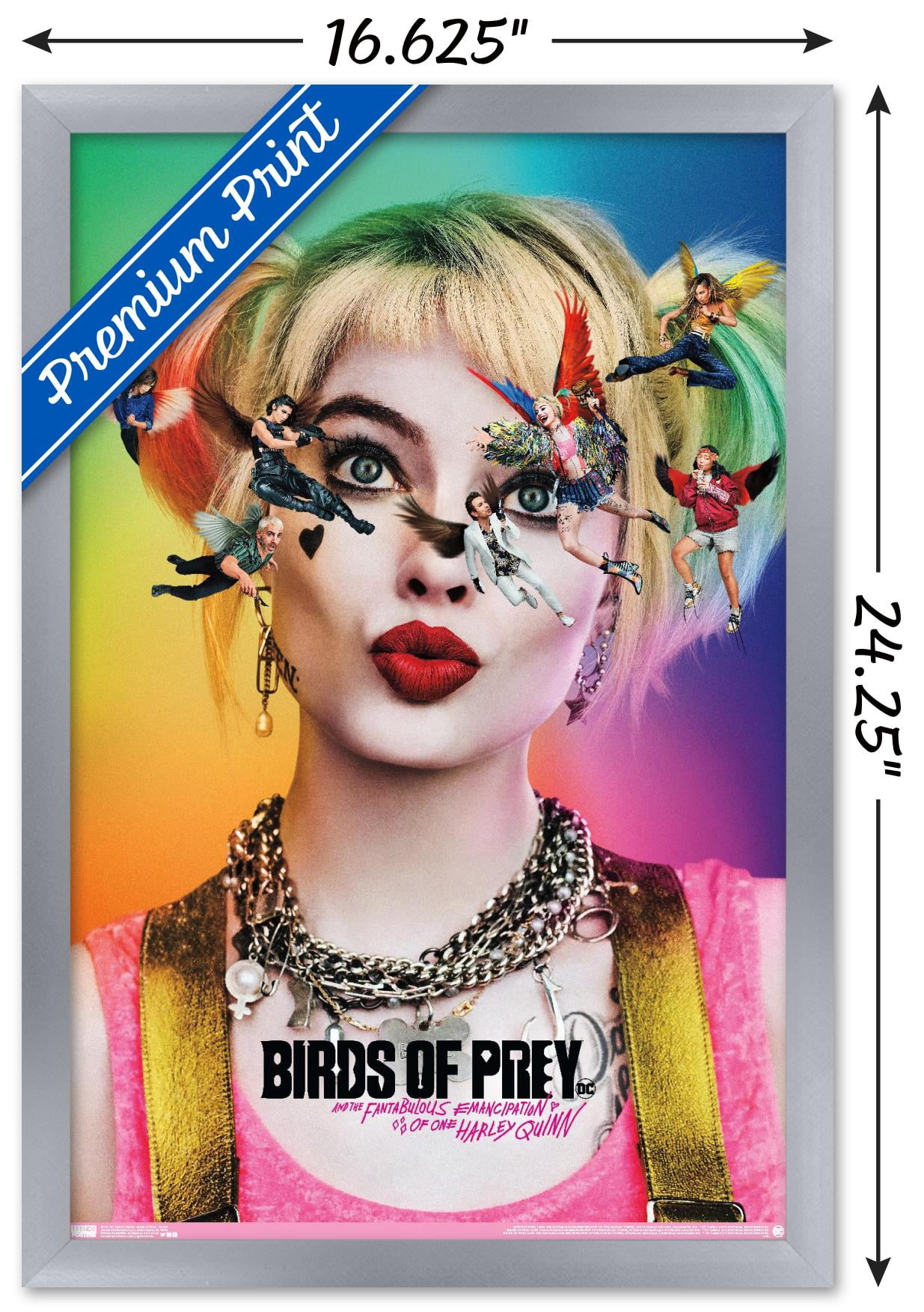 DC Comics Movie - Birds Of Prey - Teaser Wall Poster, 14.725" x 22.375", Framed
