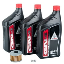 Oil Change Kit With Pro-Honda GN4 10W-40 for Honda TRX 300FW 4X4 1988-2000