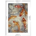 thumbnail image 5 of Art.com Vibrant Koi II Art Print by Tim O'toole, White Frame Wall Art, 21" x 29", 5 of 5