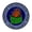 E, variant on Dumpster Fire Response Team Pins, Team Gifts for Team Leader,Coworkers,Boss, Funny Pins for Lapel,Hat,Sweater,Shirt,Jacket,Office and work