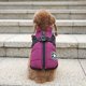 thumbnail image 2 of Ropa para perros, chaleco para perros medianos y pequeños, correa para perros, osito de peluche, cadena para perros, correa para perros, correa para el pecho para mascotas, 2 of 6