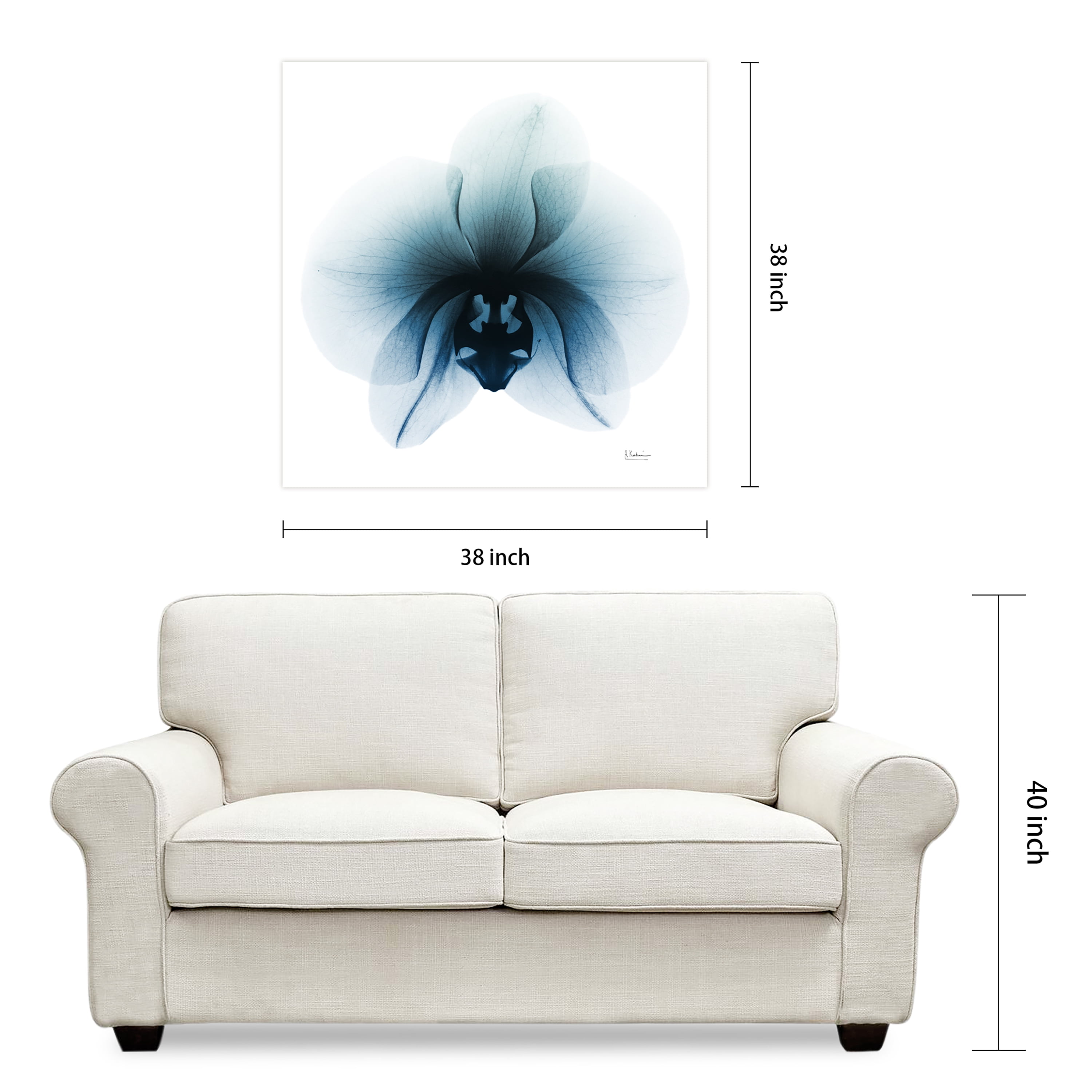 Empire Art Direct Glacial Orchid Frameless Free Floating Tempered Glass Panel Graphic Flower Wall Art, 38" x 38" x 0.2", Ready to Hang