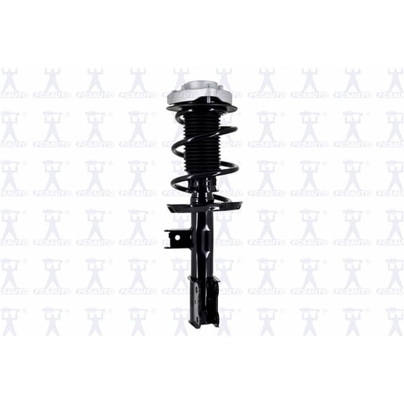 Suspension Strut and Coil Spring Assembly