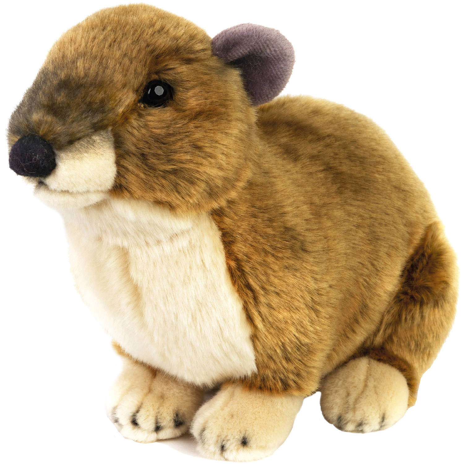 Lelly National Geographic Plush, Dassie - Walmart.com