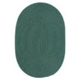 thumbnail image 1 of Colonial Mills Rug BR62SAMPLE Boca Raton - Myrtle Green sample swatch, 1 of 1