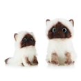 thumbnail image 1 of Cute Ragdoll Cat Plush Stuffed Animal Toys, 1 of 5