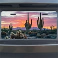 thumbnail image 7 of Desert Cacti at Sunset Funny Personalized License Plate Rust-proof Stainless Steel Metal License Plate Suitable For Men And Women 12.2" x 6.2", 7 of 7