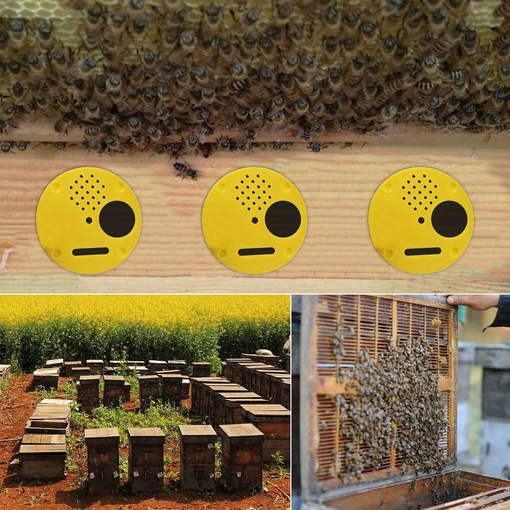 12pcs Beekeepers Bee Hive Nuc Box Entrance Gates Beekeeping Equipment Best Hot 