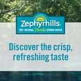 thumbnail image 4 of Zephyrhills Florida Spring Water, 16.9 Fl Oz, Single Plastic Bottle, 4 of 13