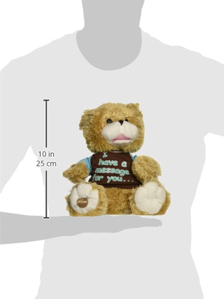 recordable bear walmart