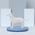 thumbnail image 4 of Maniquí de perro lleno de aire de Pvc, decoración del hogar, accesorios fotográficos, juguetes para niños, compañero de mascota realista para ocasiones de exhibición, 2 uds., 4 of 5