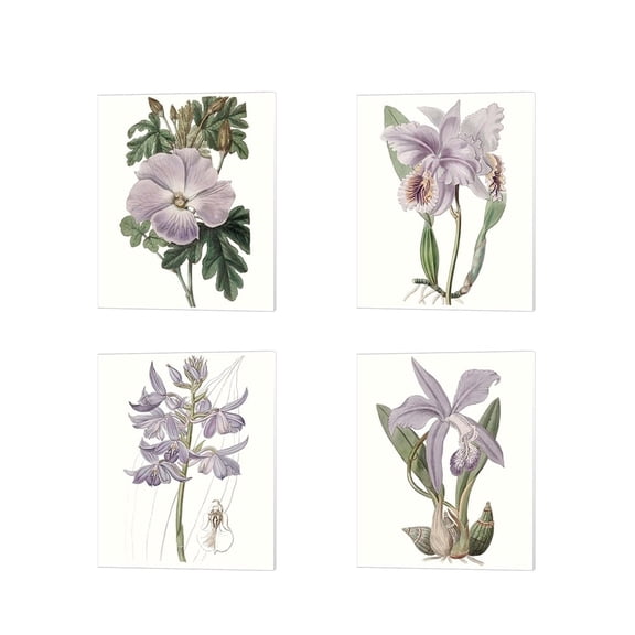 Metaverse Edwards 'Lavender Beauties' Canvas Art (Set of 4)