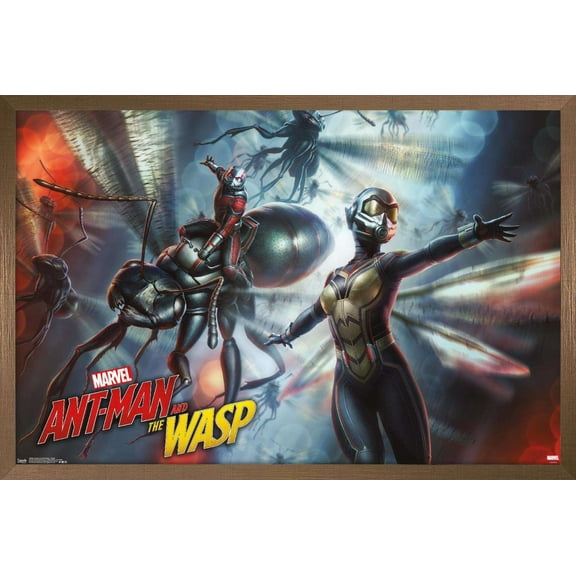 Marvel Cinematic Universe - Ant-Man and the Wasp - Flight Wall Poster, 14.725" x 22.375", Framed
