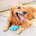 thumbnail image 3 of Freezable Pet Teether Cooling Chew Toy - Refillable Dog Water Stick And Fun Pet Supplies, 3 of 3