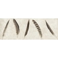 thumbnail image 2 of Blaustein, Alan 24x12 White Modern Wood Framed Museum Art Print Titled - Feathers Panel - 1, 2 of 4