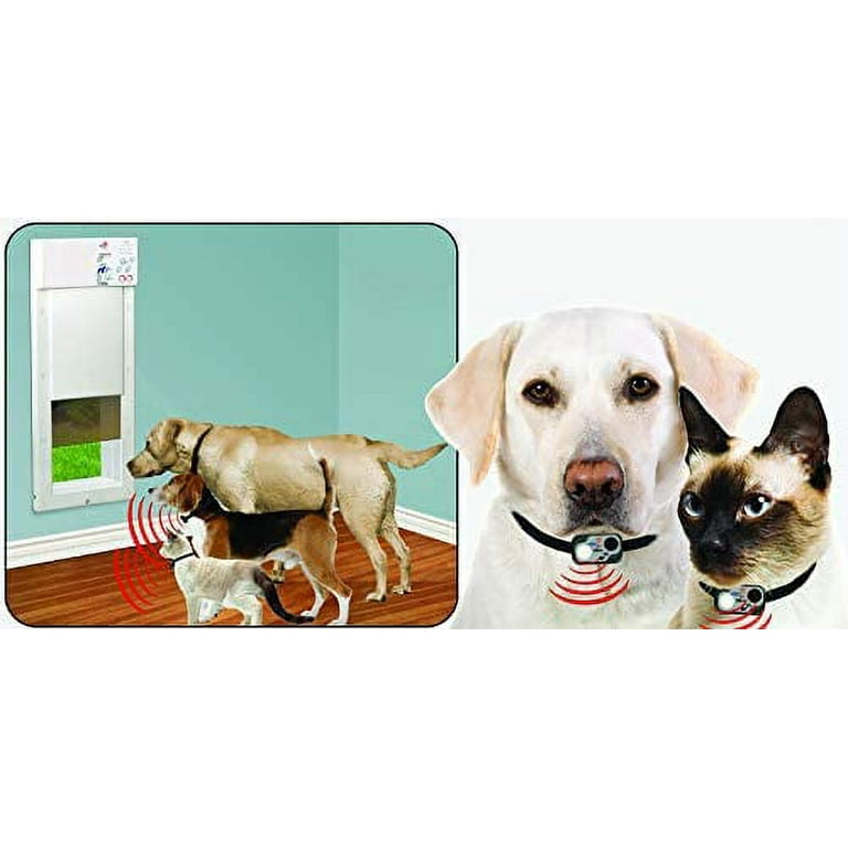 High Tech Pet PX 2 Large Opening Power Pet Door for Wall