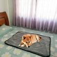 thumbnail image 3 of Dog Toilet Training Waterproof Pad Floor Sofa Fleece Protector Pet Bed Washable Reusable Dog Bed Mats Dog Urine Pad Puppy Pee Fast Absorbing Pad Rug For Pet Training In Home Bed, 3 of 11