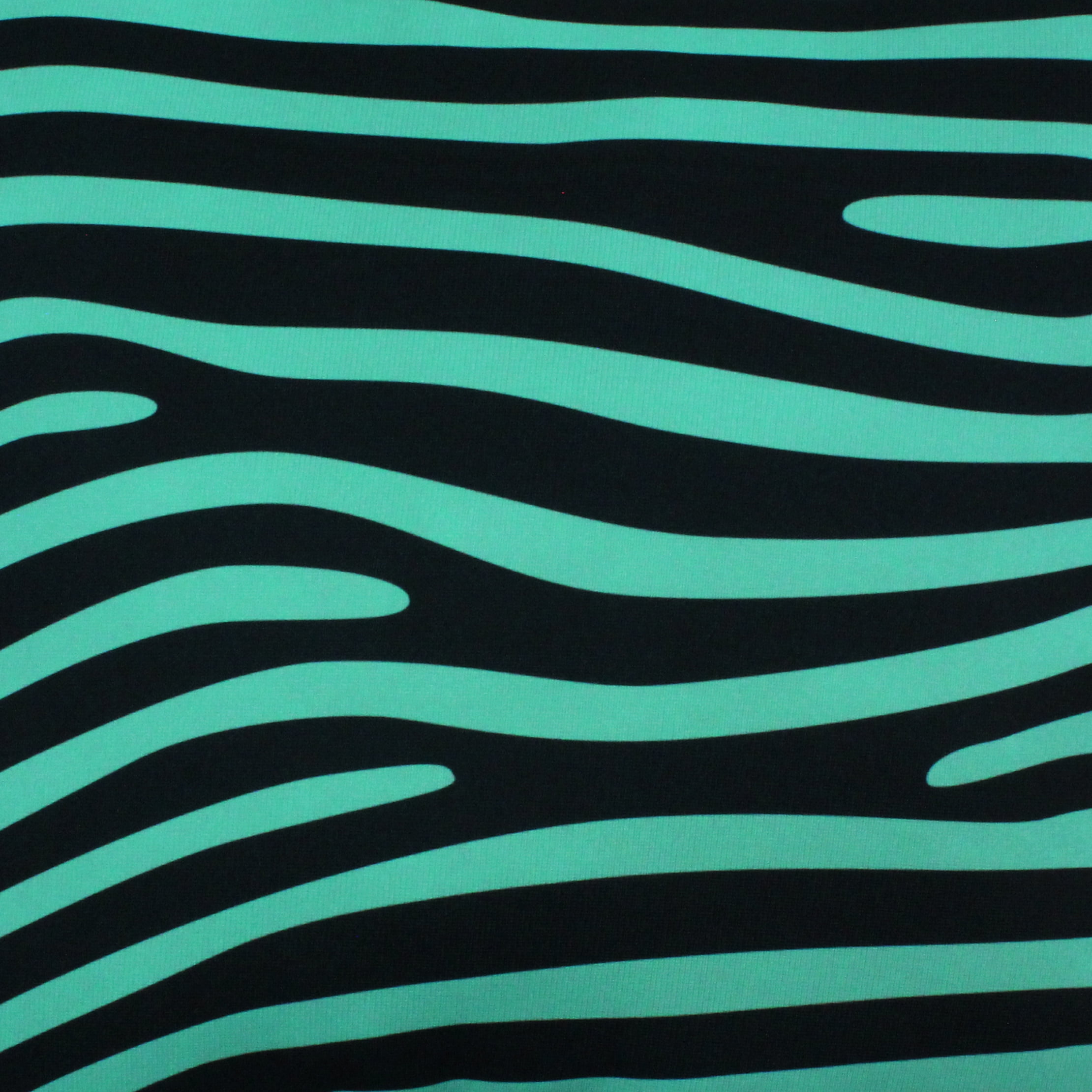 Everything Comfy Zebra Print Decorative Throw Pillow, 16x16 Inch, Teal/Black,