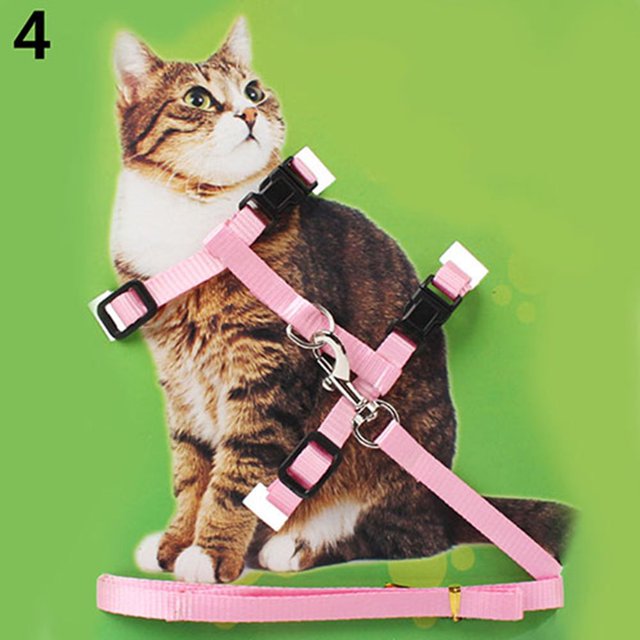 LEEYNEER Harnais Réglable en Nylon pour Chat Chiot Collier Laisse Traction Corde de Sécurité