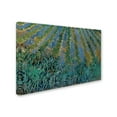 thumbnail image 2 of Trademark Fine Art 'Lavender at Saintes-Maries' Canvas Art by Vincent van Gogh, 2 of 3