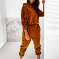 thumbnail image 2 of Women's 2 Piece Velvet Outfits Casual Long Sleeve Hoodie Sweatshirt and Hight Waist Pants Sets Tracksuits Sweatsuits, 2 of 5