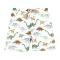 thumbnail image 3 of Hudson Baby Infant Boys Shorts Bottoms 4-Pack, Brown Sage Dinosaurs, 3-6 Months, 3 of 3