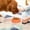 Orange, variant on 274. Non-Slip Pet Bowl, Thickened Plastic Dog Cat Food Water Dish, Anti-Spill Chew Proof Feeder, Durable Easy Clean for Indoor Outdoor Use, Small Medium Pets