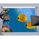 thumbnail image 2 of Fondo de fotografía ABPHQTO Peces de fondo marino 150x220cm, 2 of 2