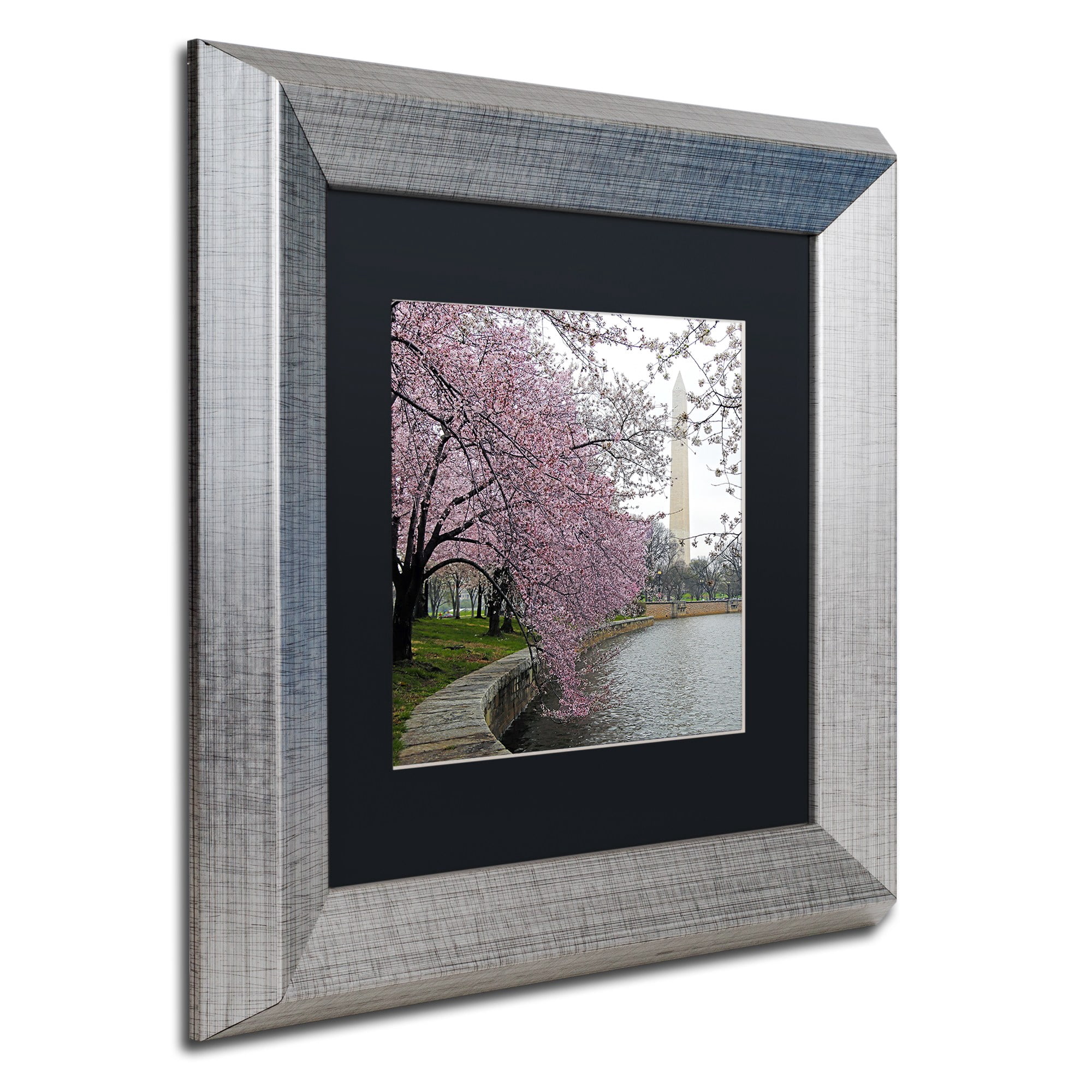 Trademark Fine Art "Washington Blossoms" Canvas Art by CATeyes, Black Matte, Silver Frame
