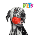 thumbnail image 2 of JUGUETE PELOTA DE CAUCHO SPINY Fancy Pets CAUCHO, 2 of 2