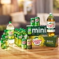thumbnail image 4 of Canada Dry Ginger Ale, 12 fl oz cans (pack of 12), All Natural Family Pack, 4 of 5