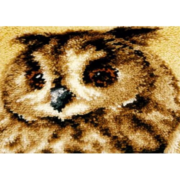 Owl Latch Hook Rug Kit for Adults Carpet Cushion with Printed Canvas Crochet Yarn Craft DIY Handmade Tapestry for Home Decoration Pets Warm Pads 52x38cm