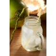 thumbnail image 3 of Wilderness Poets, Coconut Water Powder, Evaporated, 4 oz, 3 of 6
