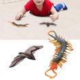 thumbnail image 4 of Modelo de insectos de aprendizaje temprano de PVC educativo flexible mini figuras de insectos para niños maestros coleccionistas de regalos de cumpleaños ANGGREK Otros, 4 of 8