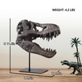 thumbnail image 4 of T-Rex Dinosaur Statue,Resin Dinosaur Skull Fossil Replica, Home Ornaments, 11.8in, Black, 4 of 7