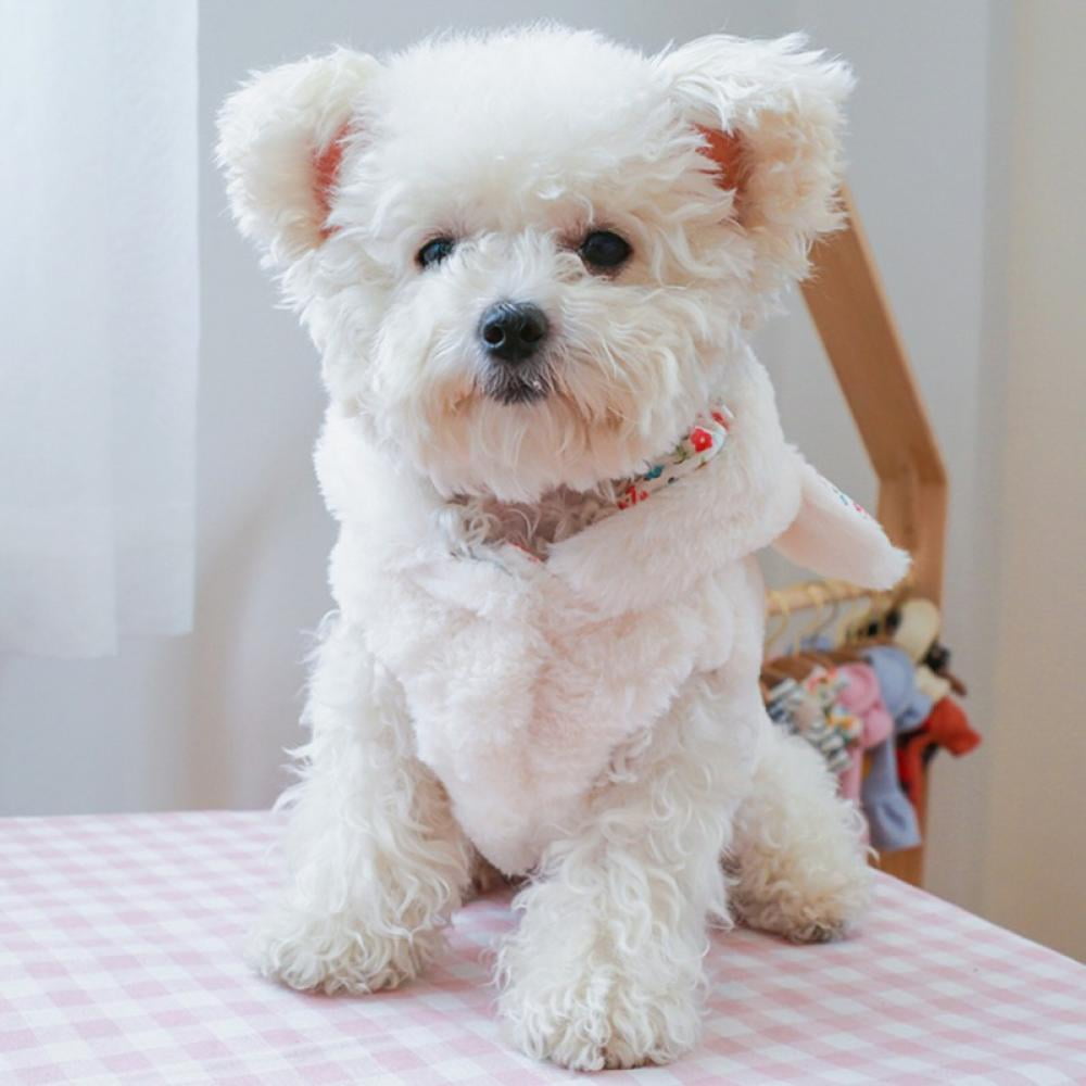 Clearance Pet Dog Clothes Floral Rabbit Patten Cotton Clothes Dog Cat