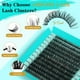 thumbnail image 2 of Kit de extensión de pestañas AMZGIRL Lash Clusters D Curl, 2 of 7