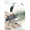 thumbnail image 2 of Piddix 11x14 White Modern Wood Framed Museum Art Print Titled - Along the Shores I, 2 of 4