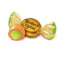 thumbnail image 4 of Werther's Original Harvest Caramel Apple Filled Hard Candies 9.4 oz, 4 of 7