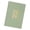 Green, variant on A5 Hardcover Daily Planner 2026, At a Glance Planner Journal with Gold Foil, Daily Weekly Monthly Notebook for tracking appointments, tasks and notes, Yulin Red