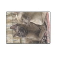 thumbnail image 3 of RYLABLUE Couverture en Polaire le Chat dans la Clôture 58x80 Pouces, 3 of 3