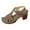 Coffee, variant on Juosiy Womens Fashion Heels Shoes Block Heels Ankle Strap High Heels Dress Dance Shoes for Women