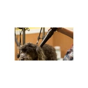 Metropolitan Vacuum Cleaner B-3 Air Force Blaster 4.0 Php - Hair Dryer and Blower for Pet Grooming