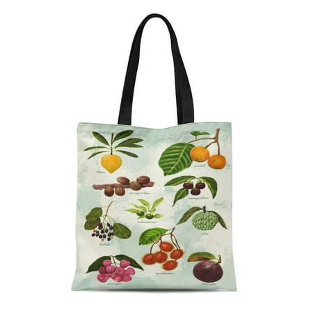 Rattan Fruit Philippines LADDKE Canvas Tote Bag Food Handpainted Filipino Tropical Fruits Pinoy Philippines Botanical Reusable Handbag Shoulder Grocery Shopping Bags ()