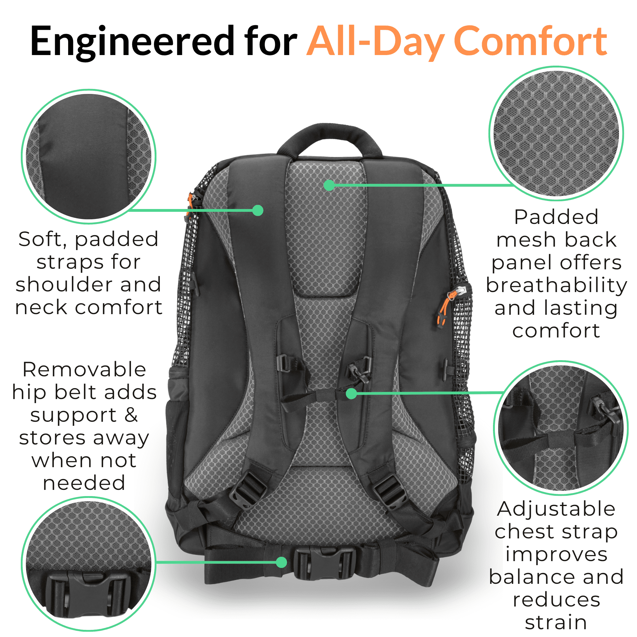 DJANGO Dog Carrier Backpack – Travel Pet Backpack for Small Dogs & Cats with Hip Belt, Storage Pockets, Laptop Sleeve & Water Bottle Holder – Secure, Comfortable Pet Carrier for Hiking & Commuting