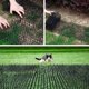 thumbnail image 2 of Juego de 1 alfombrilla antigatos con rejilla de jardín de espinas, antiperros, gatos, mascotas, 2 of 5